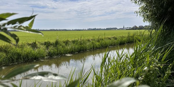 Abgetaucht in der Niederlande