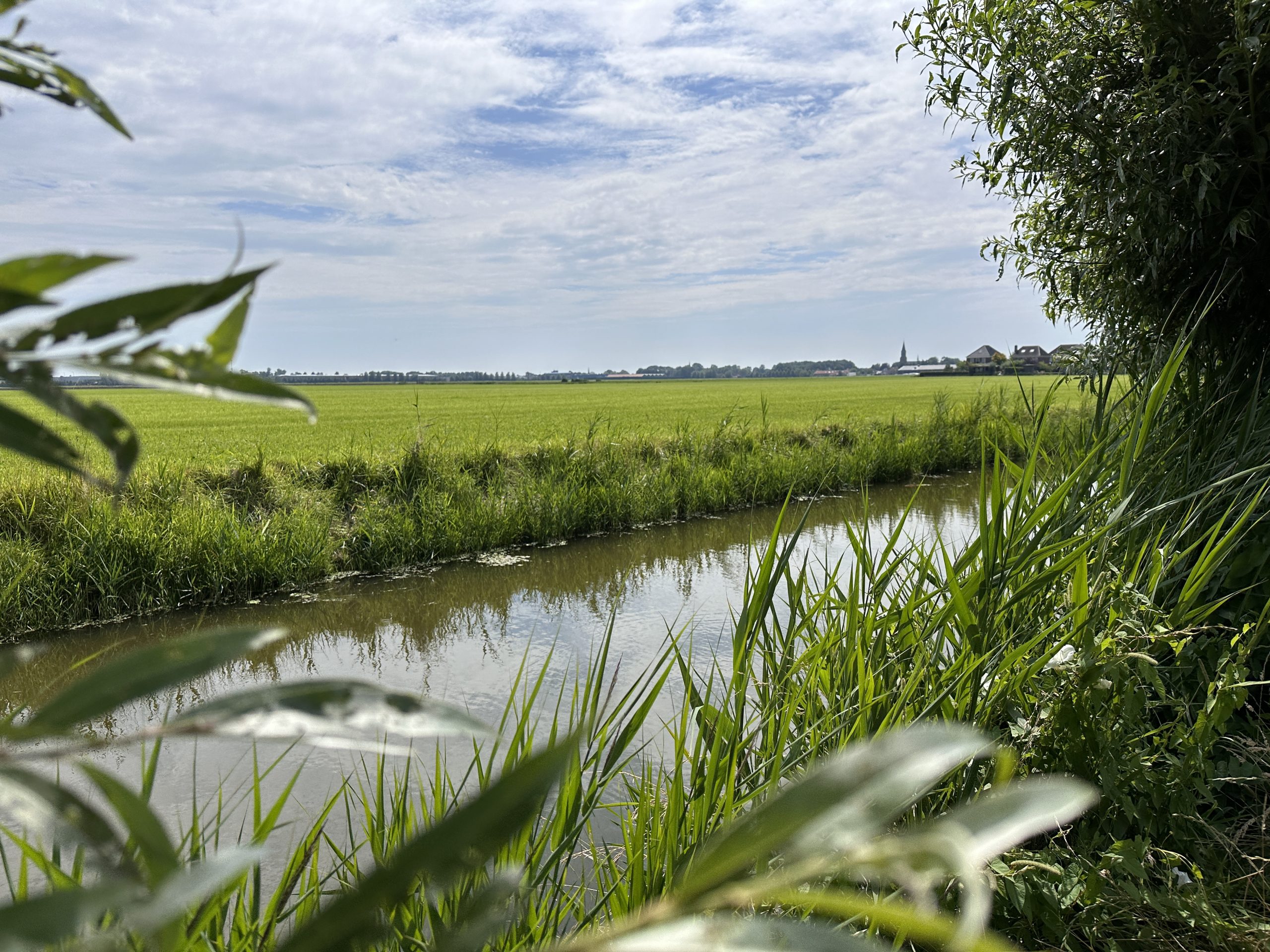 Abgetaucht in der Niederlande