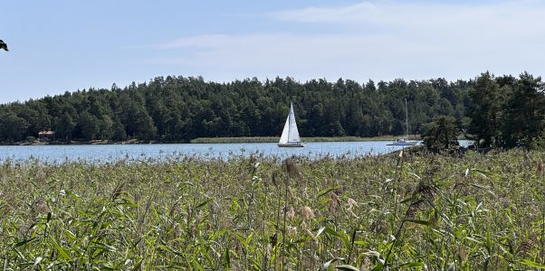 Paradijsvogels gibt’s auch in Trosa
