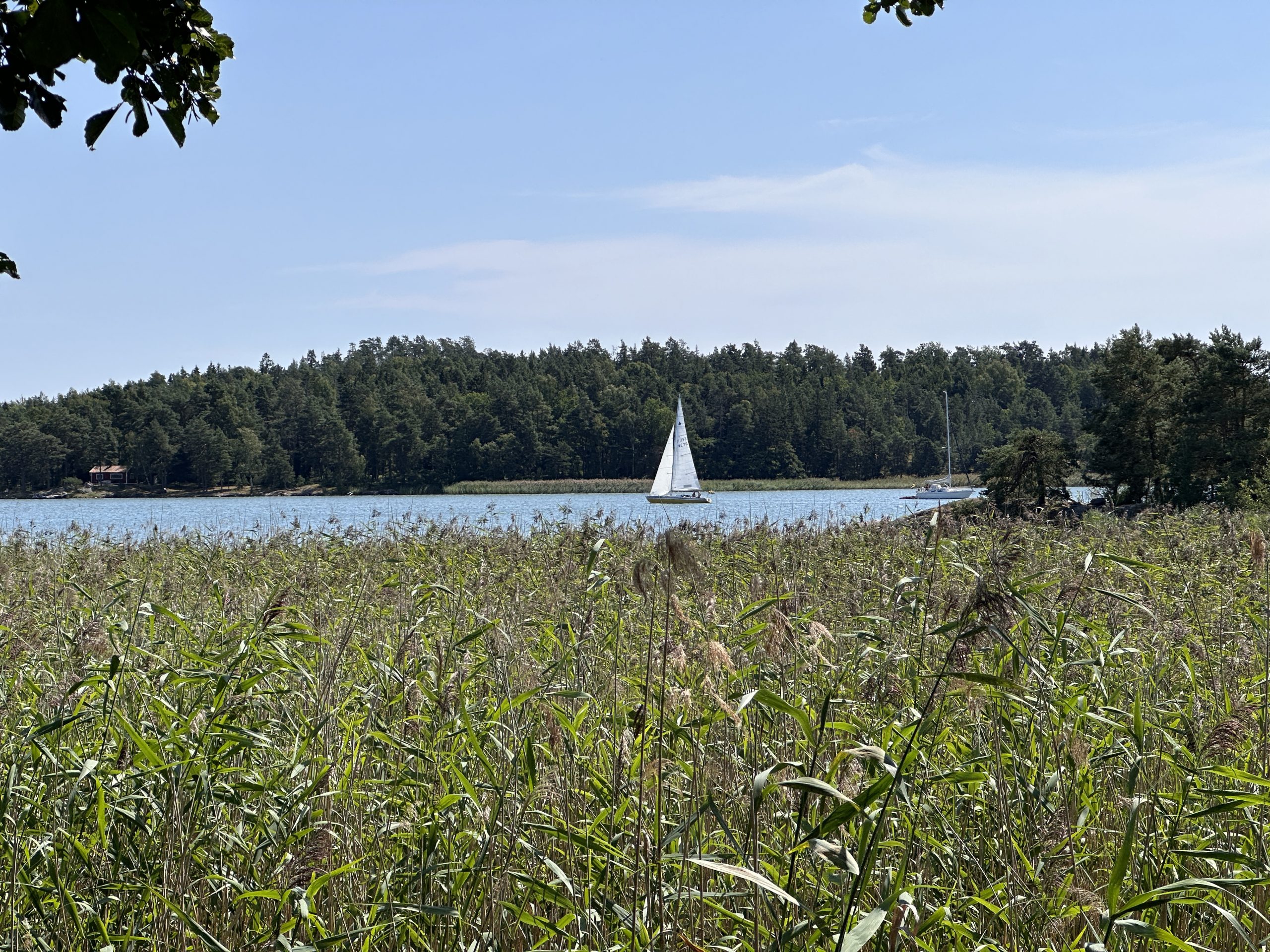 Paradijsvogels gibt’s auch in Trosa