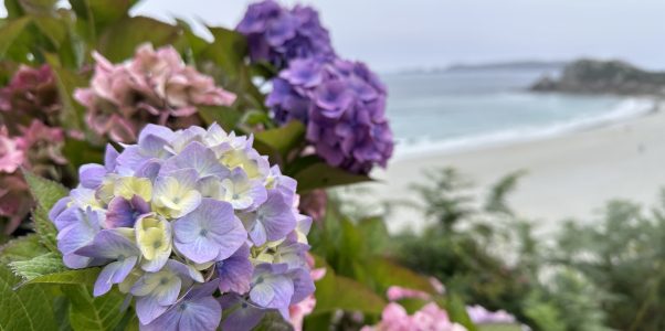 Sprachlos in der Bretagne