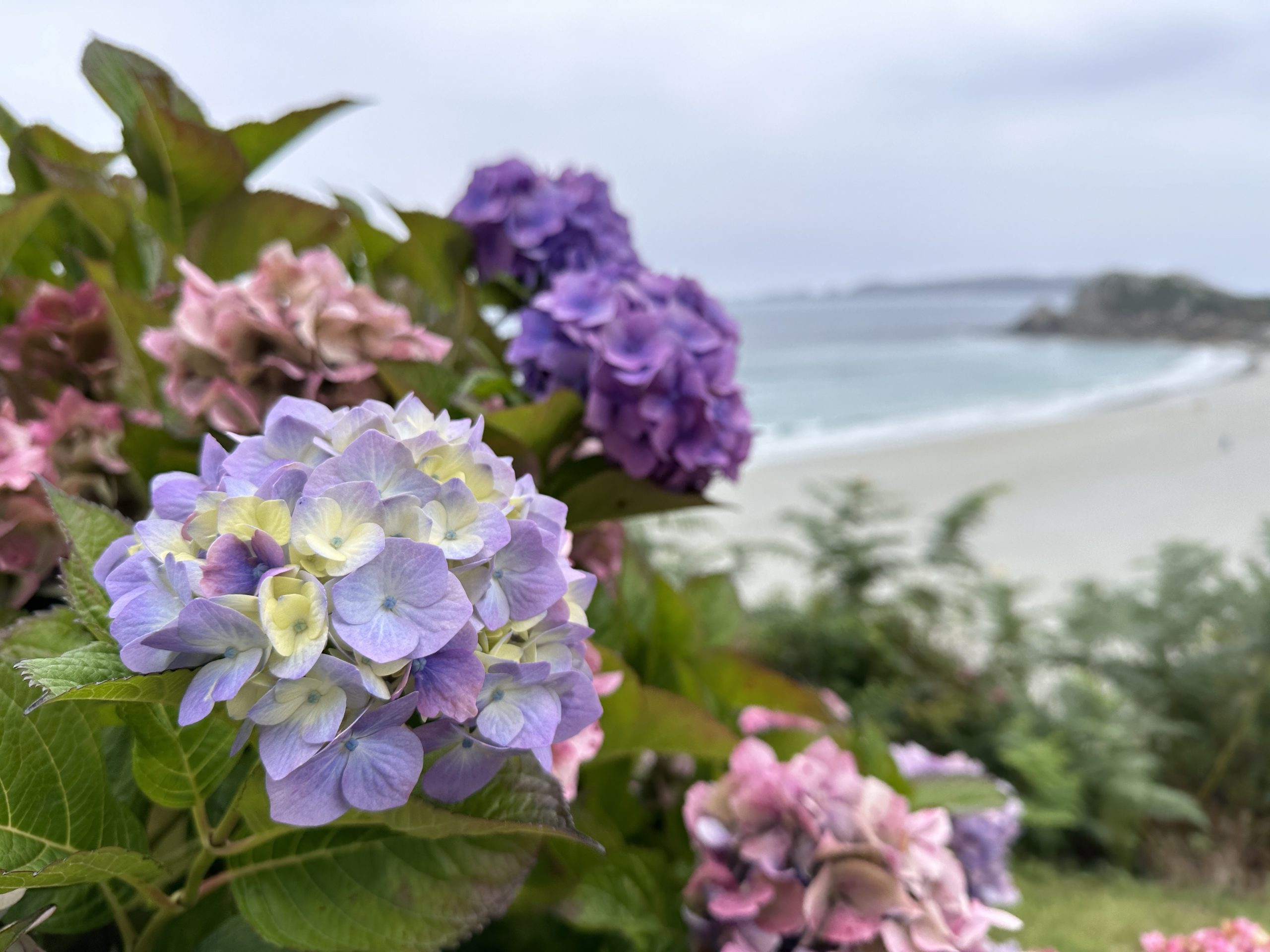 Sprachlos in der Bretagne